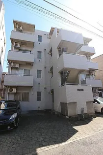 コアオリベの画像