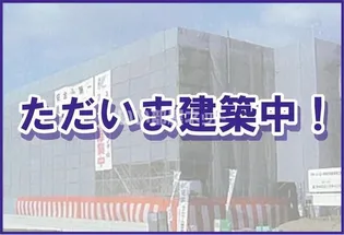 イル ソーレ1の画像