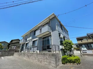メ ステッソ Aの画像