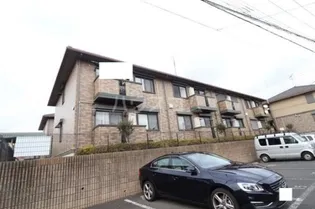 ハイムカトレアIIの画像