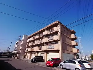 岐阜県岐阜市柳森町1【マンション】の外観