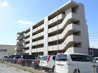 エーデルワイスの画像