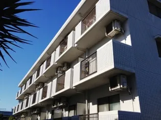 広島県広島市安佐南区長束5【マンション】の外観