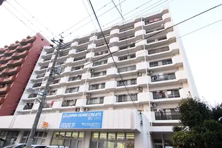 峯岸ハイツ【7階】の外観