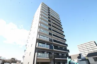 アルティザ水戸白梅の画像