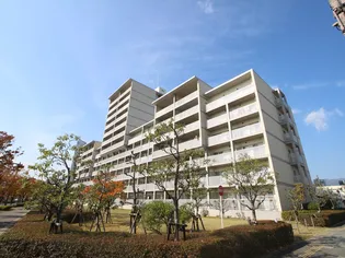 マリナージュ芦屋の画像