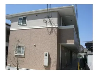 サウス メディオの画像