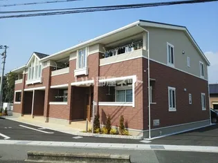 アンジュTの画像