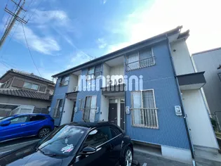 ベルツリーの画像