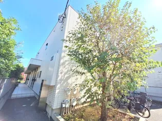 MAISON LIS BLANC メゾンリブランの画像