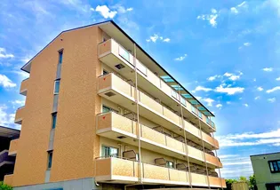 エクシードIIIの画像