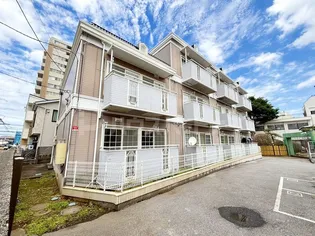 シャルムナガオの画像