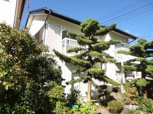 ハミングハイム【1階】の外観