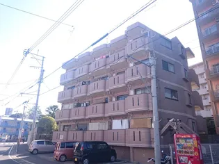 鹿児島県鹿児島市唐湊1【マンション】の外観