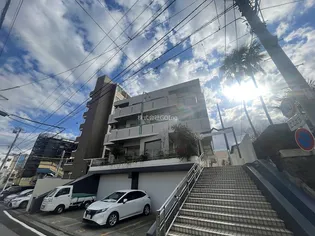 フェリースオオイシの画像