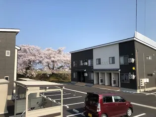 エストディオAの画像