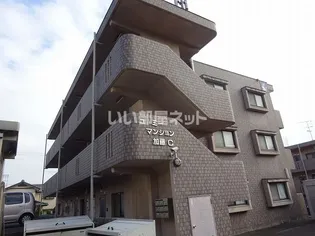 ユーミー加藤Dの画像