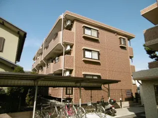 ハレコオリナの画像