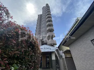 ドミール コンフォールの画像