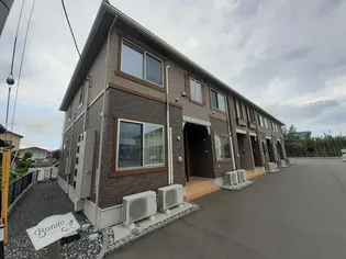 ボニートの画像