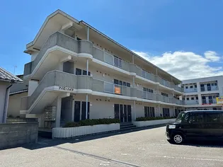 アイビーハイツの画像