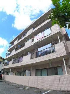 ノーザンライトの画像