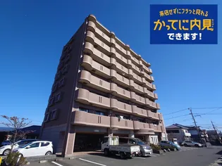 ANNEX31ーVIの画像