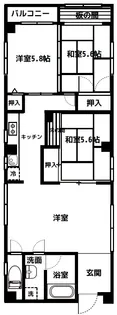 ハイ清澄【8階】の間取り