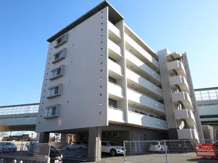 ルミエール大河の画像
