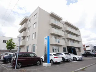 SEIRA白石本通の画像