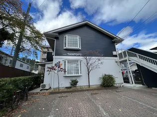 ハウスタンポポの画像