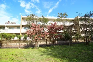 ボーヌングゴーゼムの画像