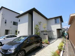 アンビエラの画像