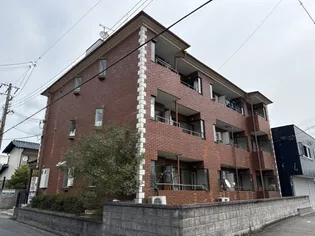 T セーヌの画像