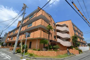 サングレース塚口【4階】の外観
