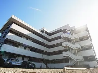 ポルシェ柏の画像