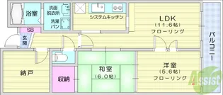 ダイアパレス泉崎【1階】の間取り