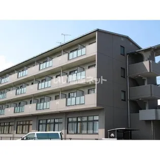 ベルサーヤの画像