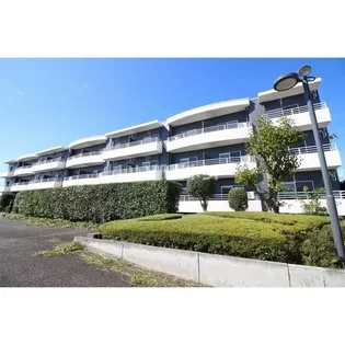 アスピレーション ロイヤルの画像