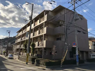 セリテ板宿の画像