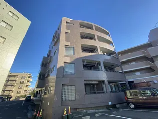 キャステールVの画像