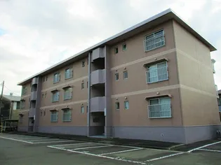 弥生ハイツ【2階】の外観