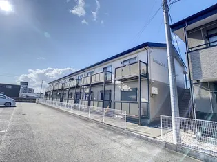 SUN FLOWER 正木Ⅰの画像