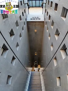 アーク諏訪の森【2階】の外観