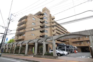 新潟県新潟市中央区八千代1【マンション】の外観