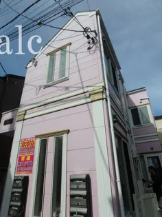 フェリスビオラの画像