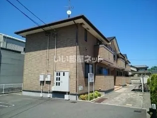 カームリリーの画像