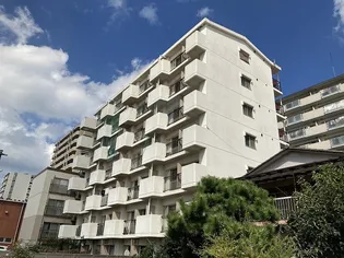 アンバサダー豊栄の画像