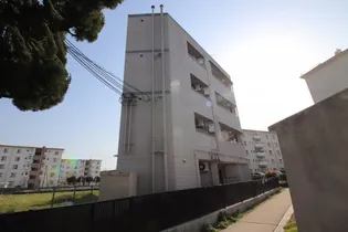 ルーチェ白鷺【4階】の外観
