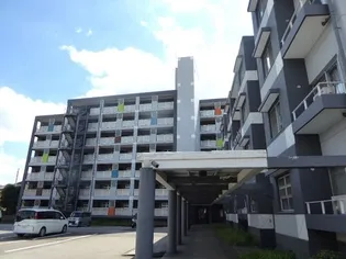 テレパレス船橋三咲A棟の画像